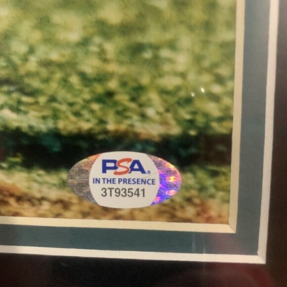 Dan Marino autograph signed Miami Dolphins 16x20 photo framed PSA/DNA - Picture 3 of 5